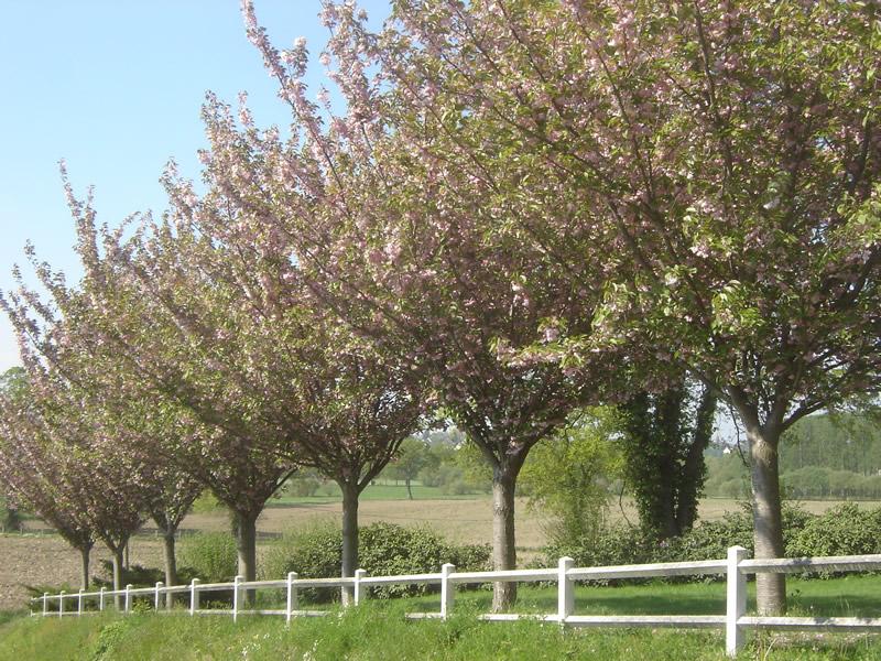 Pommiers A Cidre Caen Evreux Le Havre Christophe Almin